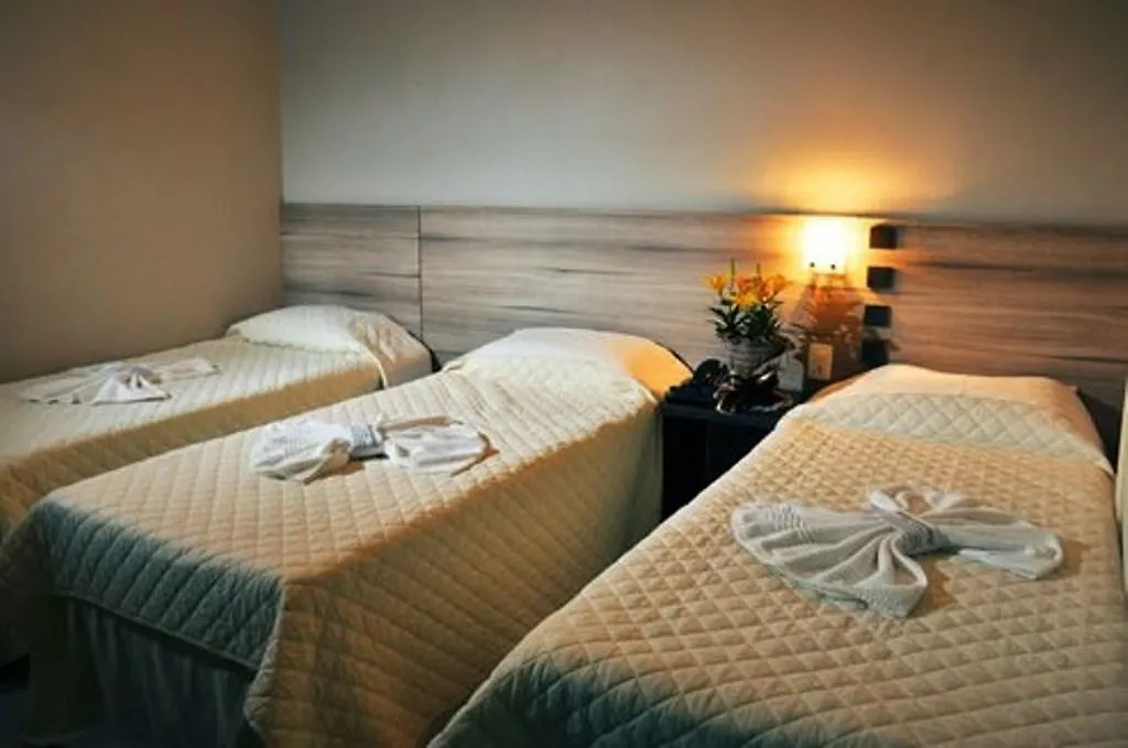 Petry Plaza Hotel Canoinhas 3*,